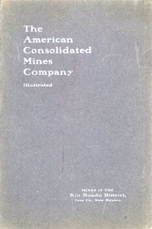 [Gutenberg 60691] • The American Consolidated Mines Company (1903)